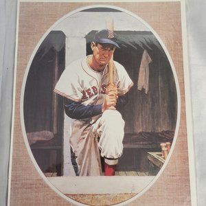 Ted Williams Beckett Baseball Monthly 8" x 10" Color Back Cover Print